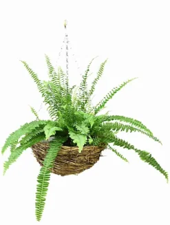 Set med 5 hängande blomkorgar “Natural HB115”