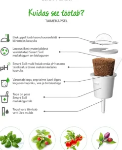 Set med 3 produkter. Click & Grow Smart Garden refill Busy Lizzie 3st