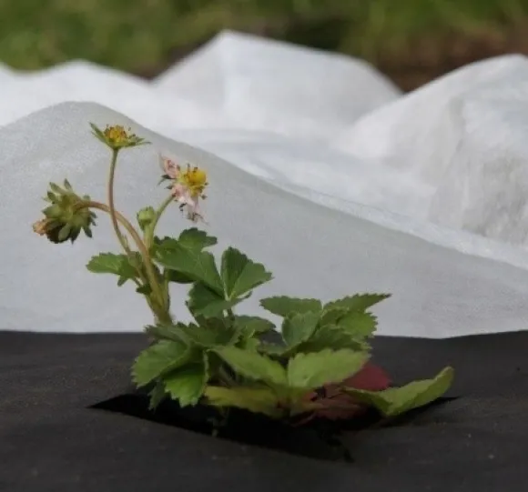 Set med 15 produkter. Non-woven 17g/m² vår, vit, 1,6 x 5m