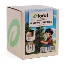 Set med frö till pinjeträd och odlingskruka – Odla ditt eget medelhavsträd