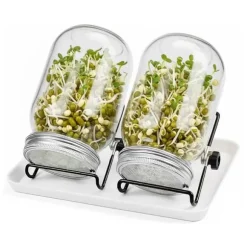 Set med groddningsburkar, 16,5x10 cm, Glas