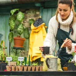 Set med såkrukor, 5x3,5x3,5 cm, Brun