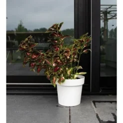 Självbevattnande kruka - GARDEN ID Glamour - Vit 40 cm - Kornig yta - Inomhus/utomhus - Snygg design.