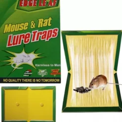 självhäftande musfälla XA082