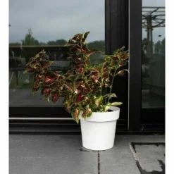 Självvattnande blomkruka Garden ID Vit