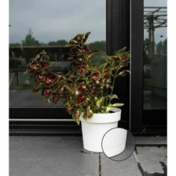 Självvattnande blomkruka Garden ID Vit