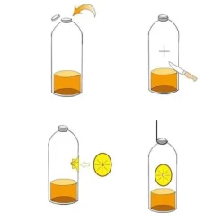 Skadedjursfälla, Flygande getingfälla, 10 st, Dödar flugor, Insekter, Insekter, Tratt i flaska[F534354484]