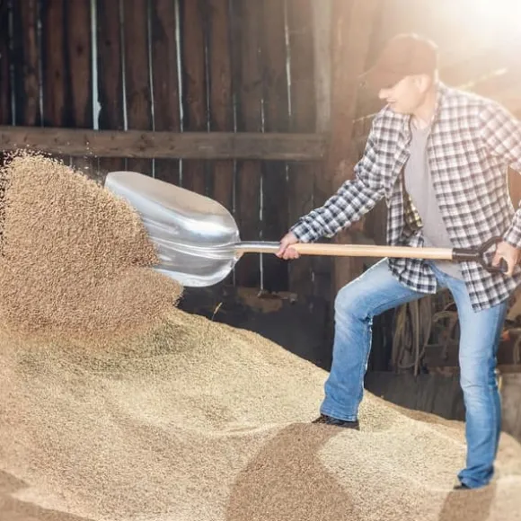 Snöskyffel, Hållbar plast, 50 tum längd, 14 tum bredd, Rundade kanter, Bekväm D-formad handtag