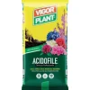 Sol acidofil 20 liter Vigorplant