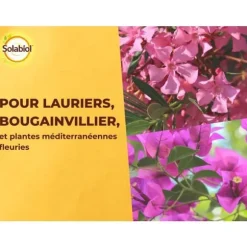 SOLABIOL Gödningsmedel för lagerträd och bougainvillea - 1,5kg - Upp till 30 plantor - Främjar blomning och tillväxt
