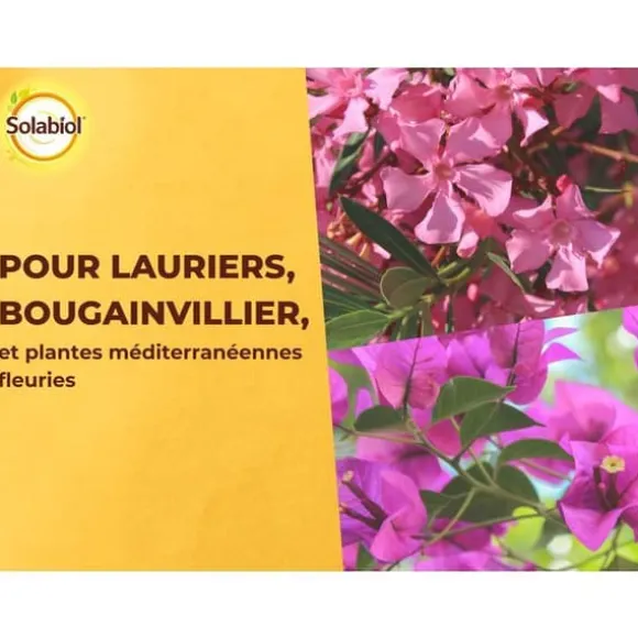 SOLABIOL Gödningsmedel för lagerträd och bougainvillea - 1,5kg - Upp till 30 plantor - Främjar blomning och tillväxt