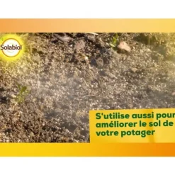 SOLABIOL Kalcium- och magnesiumkarbonat - 10kg - Granulat - Korrigerar jordens surhet - Progressiv och hållbar effekt