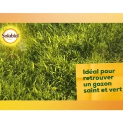 SOLABIOL Kalcium- och magnesiumkarbonat - 10kg - Granulat - Korrigerar jordens surhet - Progressiv och hållbar effekt