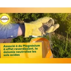 SOLABIOL SOCHAUX10 Kalcium- och magnesiumkarbonat 10 kg, effektiv