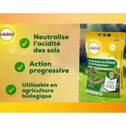 SOLABIOL SOCHAUX10 Kalk och magnesiumkarbonat - 10 kg
