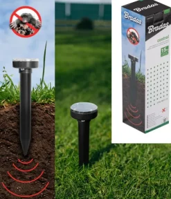 Solcellsdriven gnagaravvisare