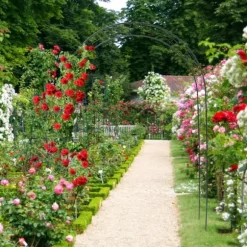 Spaljé, 153x39x233 cm, Grön