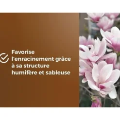 Specialkrukajord för ljungväxter - BROWN GOLD - OBRTBRU6U - 6L - Bättre rotning