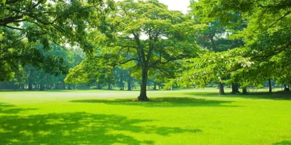 Spring Mineral Complex Fertilizer Emerald Minerals Nr 16 NPK 20 kg