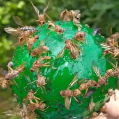 4st hängande flugfälla boll fruktflugefångare klibbig fälla utomhus skadedjursfångare för trädgårdsväxter