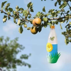 10STK Gula Vespafällor Vespafälla Gula Trattfällor för Getingar och Hymenoptera Fruktflugefällor Biformade Fällor