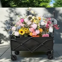 Strand, camping, trädgård, hopfällbar vagn 100 kg, fickor