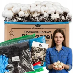 Svampodlingskit 5 kg mycel Hemma svampodling + Gratis