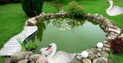 SVAN SIMMADE SOM EN LIVSFIGUR I TRÄDGÅRDEN