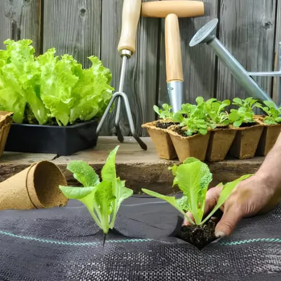 Svart agrotextil för ogräs, mulching, 3,2x100m, 70g pinnar