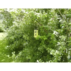 Swissinno Natural Control Outdoor 1 343 001K Getingfälla Lockmedel Gul 1 st