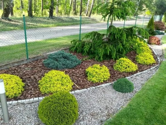 TALLBARK PROFI-LUX BIOVITA 30-80 MM 80L