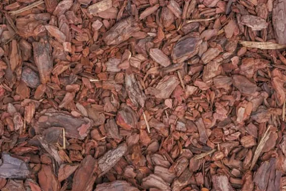 TALLBARK PROFI-LUX BIOVITA 30-80 MM 80L