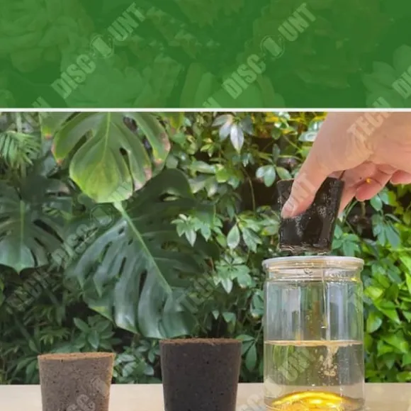 TD® 50-pack inomhus och utomhus krukjord Svamp Plantskola krukjord Organisk kolblock Universal lera