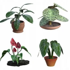 Terra - jord - sand Komp Substrat universell FULLT 25 L