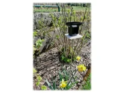 TFA DROP - Väderstation - svart