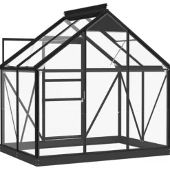 The Living Store Glasväxthus antracit 155x103x191 cm aluminium - Växthus
