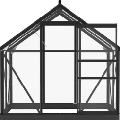 The Living Store Glasväxthus antracit 155x103x191 cm aluminium - Växthus