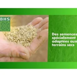 Torr Ground Replenishment Lawn - BHS - 3kg | 150 m² | Stark och hållbar, med utmärkt hållbarhet och tolerans mot tramp.