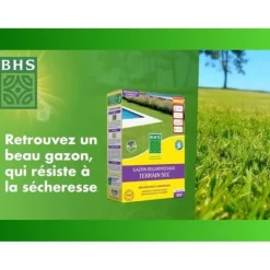 Torr Ground Replenishment Lawn - BHS - 1kg | 40 m² | Stark och hållbar, med utmärkt hållbarhet och tolerans mot tramp.