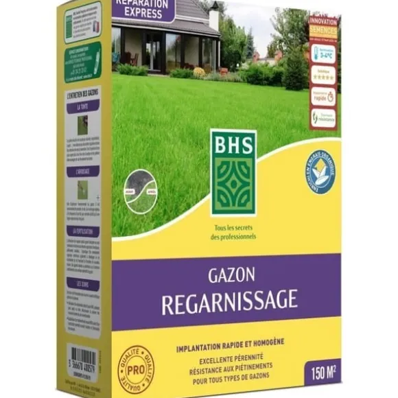 Torrgräs för återväxt - BHS - 3 kg | 150 m² | Stark och hållbar, med utmärkt hållbarhet och tålighet mot trampning.