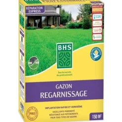 Torrgräs för återväxt - BHS - 3 kg | 150 m² | Stark och hållbar, med utmärkt hållbarhet och tålighet mot trampning.