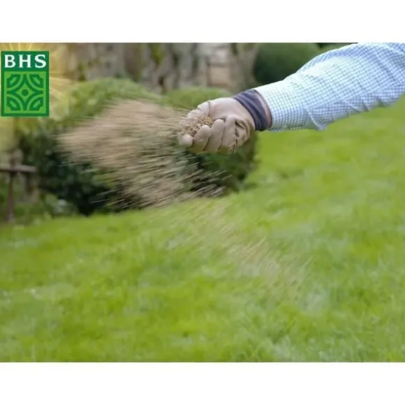 Torrgräs för återväxt - BHS - 3 kg | 150 m² | Stark och hållbar, med utmärkt hållbarhet och tålighet mot trampning.