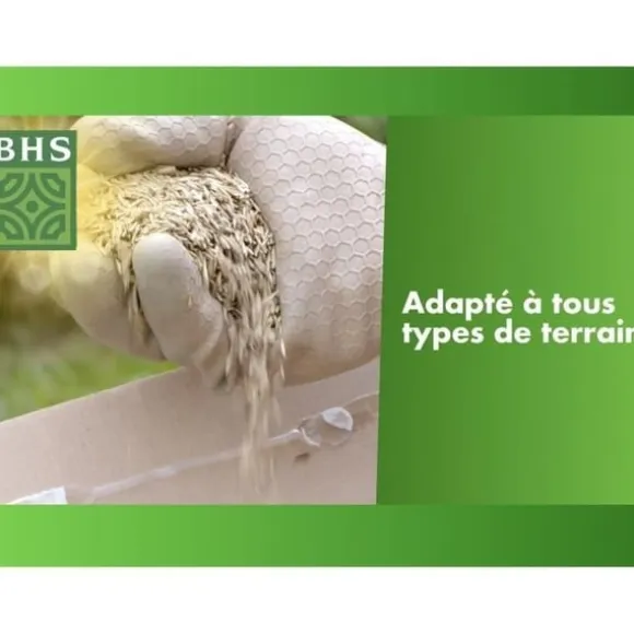 Torrgräs för återväxt - BHS - 3 kg | 150 m² | Stark och hållbar, med utmärkt hållbarhet och tålighet mot trampning.