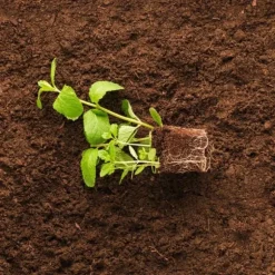 TORVSUBSTRAT JORD PH 5,5-6,5 BIOVITA 5L