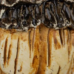 Träansiktsdekoration, 11x7x3,5 cm, Grön