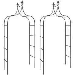 Trädgårdsbågar 2 st Svart 120x38x260 cm Stål