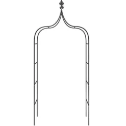 Trädgårdsbågar 2 st Svart 120x38x260 cm Stål