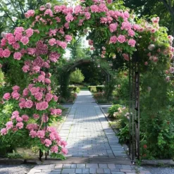 Trädgårdsbåge & Spaljé - Gotisk Portal - 216 cm Hög - Pulverlackerat Järn - För Klätterväxter & Bröllop - Utomhus - Svart