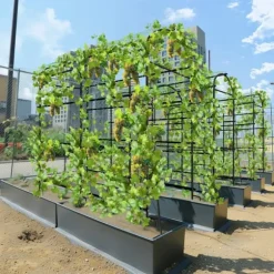 Trädgårdsbåge Spaljé - Metall Växtstöd - 160 cm Hög - Pulverlackerad - För Klätterväxter & Gurka - Utomhus Båge/Tunnel - Vit