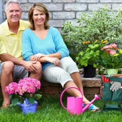 Trädgårdsknäsits, 50x60x27,5 cm, Grön